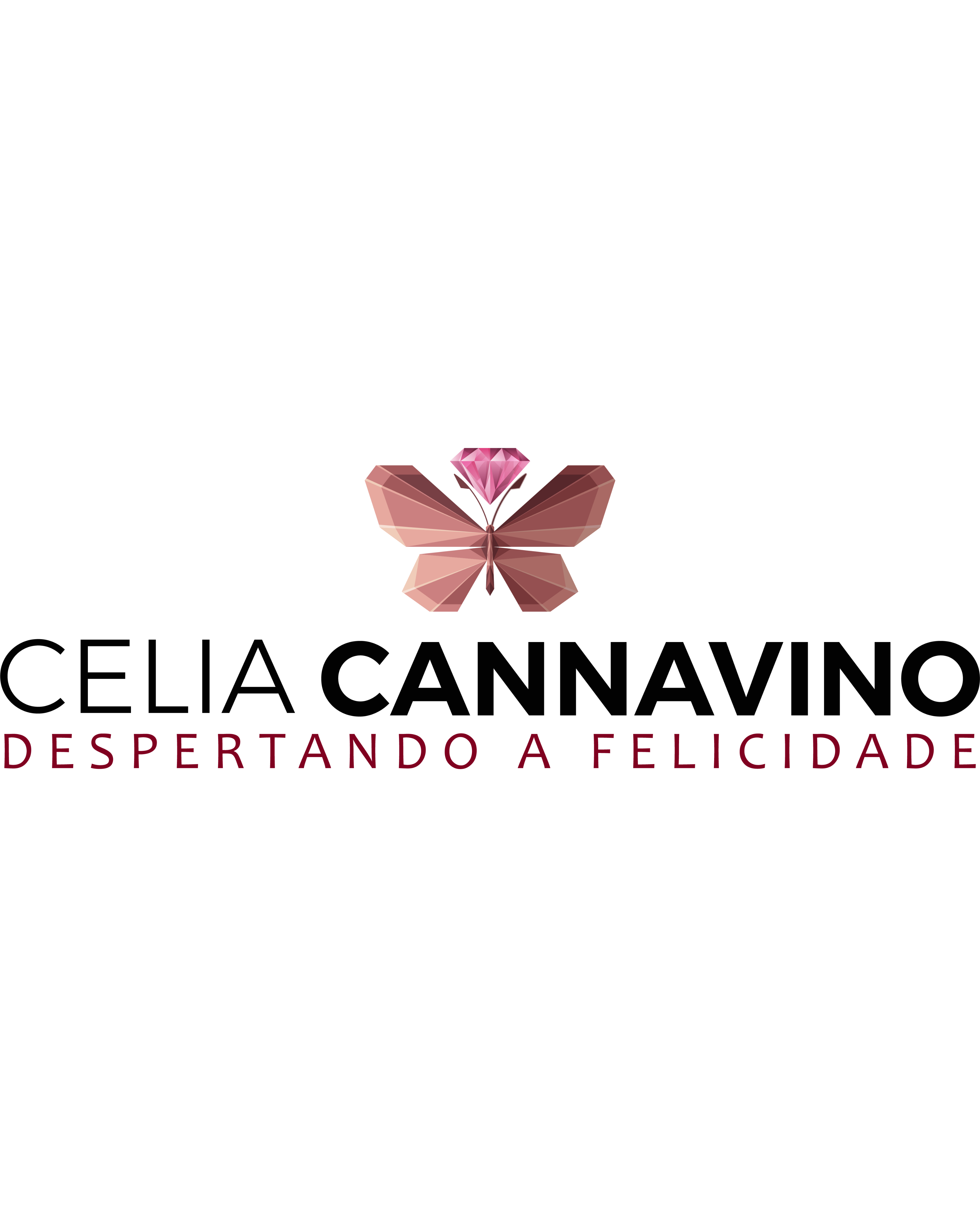 Patrocinador 6